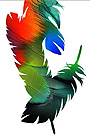 photoshop